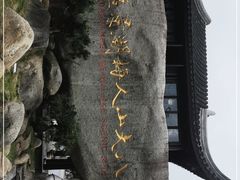 -八大山人梅湖景区