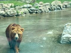 -北京野生动物园