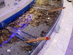 -澜悦港海鲜体验主题餐厅