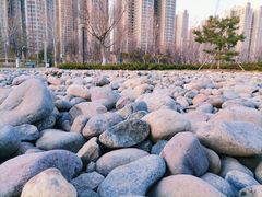 -燕郊植物园