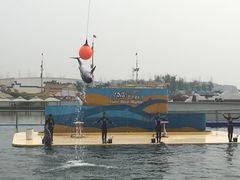 -秦皇岛乐岛海洋王国