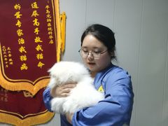 -半岛宠物医院24小时(科华中路店)