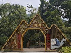 -海南霸王岭国家森林公园