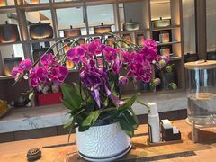 -连鹭海鲜·海肠捞饭·海胆饭(星海店)