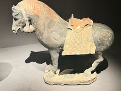 -大同市博物馆