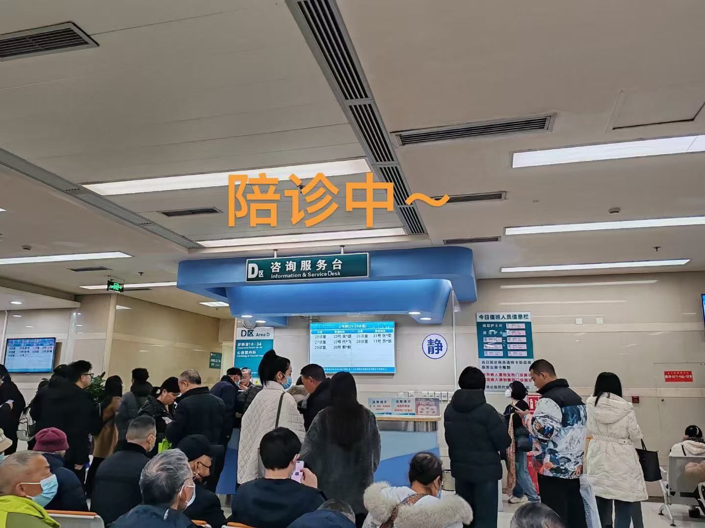 西苑医院看病陪同快速通道-西苑医院看病陪同快速通道在哪 