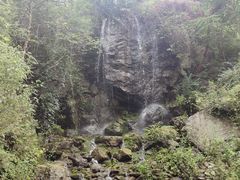 -幽岚山·童话森林