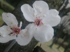 -成都南湖公园