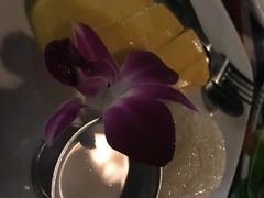 -卷心菜和避孕套餐厅(Pattaya)