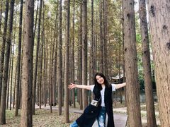 -南京金牛湖风景区