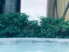 -仁爱团泊湖温泉中心