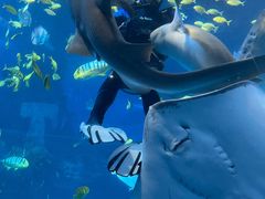 -太平洋海底世界