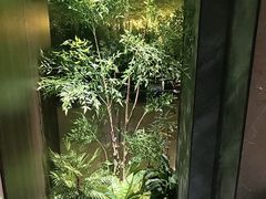 -浩运·海鲜青岛菜·海胆水饺(石老人店)