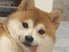 -罗创丹阳眼镜(童卫路店)