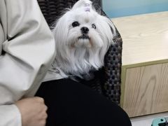 -芭比堂动物医院(广州爱宠下渡路分院)