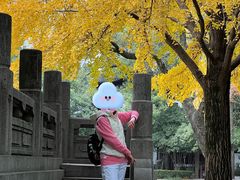 -汇龙潭