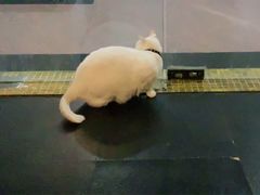 -Doors独立剧情密室(东门分店)