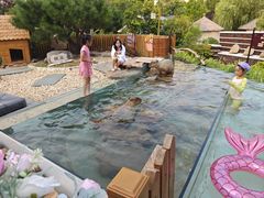 -郑州银基黄帝宫御温泉