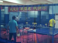 -大凤凰乒乓球馆