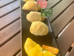 -榴莲BB 四季果园