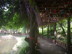 -雪山彩虹谷景区