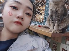 -喵屿·大理花园猫咖