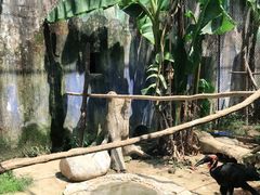 -杭州野生动物世界
