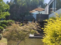 -雅苑中餐厅