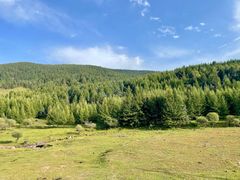 -芦芽山旅游度假区