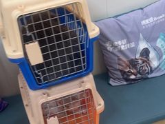 -美联众合动物医院·24h京西诊疗中心