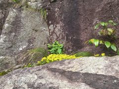 -萍乡武功山风景名胜区