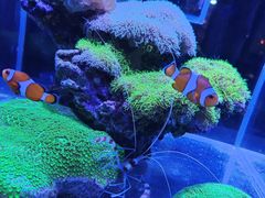 -海合安青岛极地海洋公园