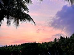 -欢乐海岸椰林沙滩-2025湾区超级灯会