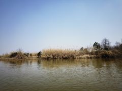 -宁波杭州湾国家湿地公园