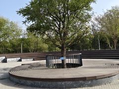 -绿堤公园
