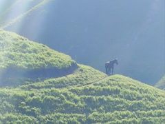 -新疆那拉提国家旅游度假区