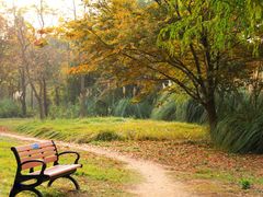 -贡湖湾湿地公园