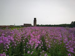 -江苏三台山国家森林公园