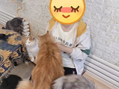 -平行世界·猫咖(首经贸店)