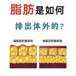 -Fundi张玉珊修身堂·indiba·BTL科技瘦身