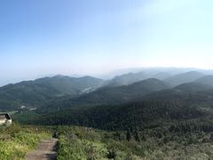 -武陵山森林公园