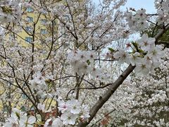 -徐家汇源景区-衡山公园