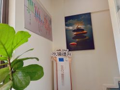 -朴荷皮肤管理中心