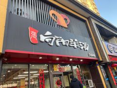 -向阳羊汤(大同总店)