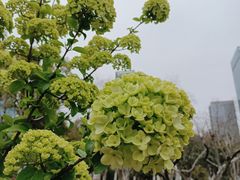 -天鹅湖体育公园