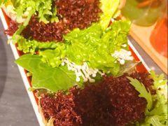 -南门四季铜锅涮肉(左家庄店)
