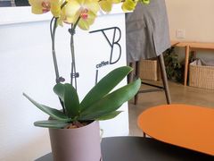 -LAB COFFEE来杯咖啡(浦仓路店)
