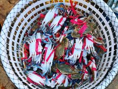 -碧桂园十里银滩