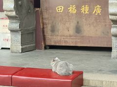 -西园寺素食(西园弄戒幢律寺店)