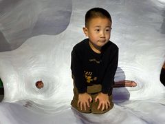 -泉城欧乐堡海洋极地世界